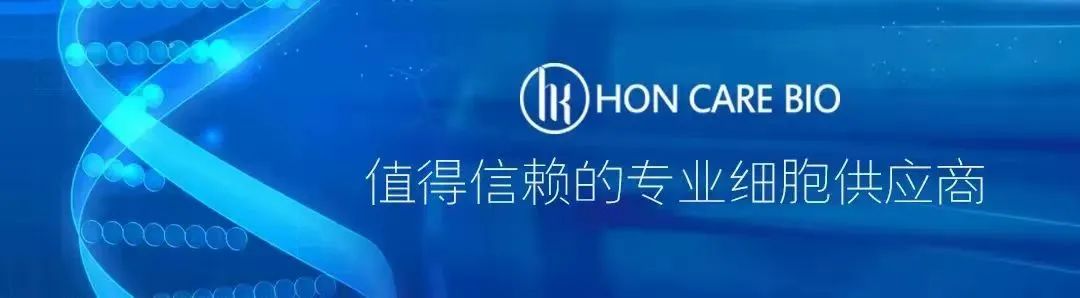 图片关键词 图片